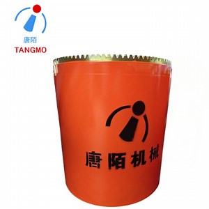 [Hot Item] Customized Coupling High Torque Couplings with Hirth Teeth