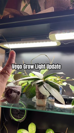 Beneficios de las luces de crecimiento Figo para plantas
