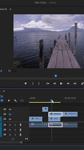 Want to Hide Clip Without Hiding Whole Track? #premierepro