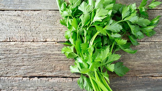 Que faire avec les feuilles de céleri ?