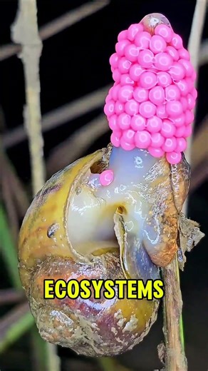 Strange Morning Routine With Purpose 😮