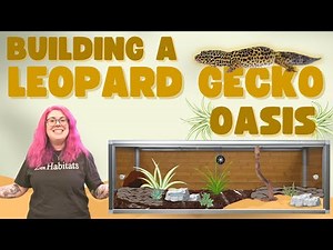Creating A DESERT OASIS For Our Leopard Gecko | Zen Habitats Leopard Gecko Enclosure Build