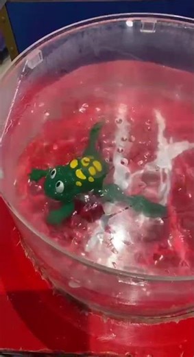 Swimming Frog Bath Toy...#shorts #frog #water