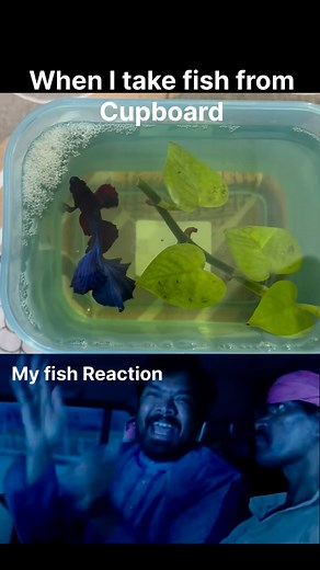 Aqua VK on Instagram: "Food petinapudu bayatiki testa Do follow @aqua.vk . . . . #prabhas #maheshbabu #betta #viral #telugu #telugureels❤️ #telugumovies #telugufunnymemes #hyderabad #hyd #hyderabadis"