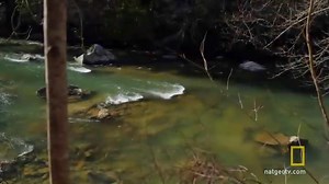 132K views · 1.4K reactions | Getting food is tough when you're using primitive tools. Live Free or Die 10/9c. | National Geographic TV | Facebook