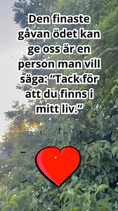 Den finaste gåvan ödet kan ge oss är en person man vill säga: “Tack för att du finns i mitt liv.” | Fantastisk värld