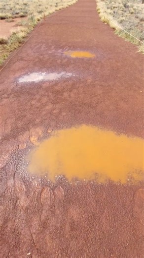 3.4K views · 122 reactions | Everyone gets so excited when rain falls ️ at Uluṟu-Kata Tjuṯa National Park. It is a truly majestic sight  But what happens after the rain stops? The clouds break away to reveal a blue sky, Uluṟu glistens in the sunlight, puddles remain and create reflections of the surrounding landscape, insects and wildlife come out to soak up the water and the vegetation becomes green and lush.  Video by Ranger Meegan | Parks Australia | Facebook