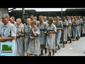 The Executions Of The Women Of Auschwitz