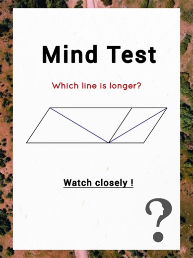 Brain Test Challenge: Level 419 Solution Uncovered