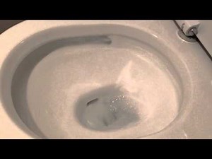 Toto Tornado Flush