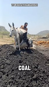 This small coal mine in Pakistan presents a stark contrast to the high-tech mining operations seen in other parts of the world. Here, local miners still extract coal by hand, raising the question of why manual labour persists in the mining industry in modern times. -- This video is credited to DND Eng | Business Insider Africa