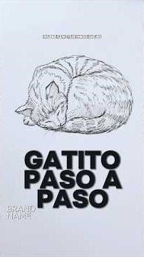 Kitten step by step for beginners