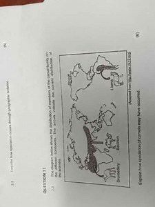 3 Describe how speciation occurs through geographic isolation.... | Filo