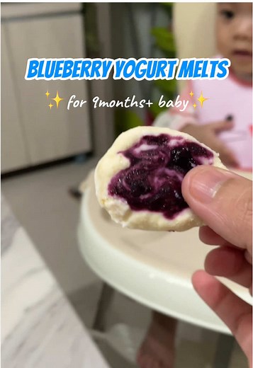 Healthy Blueberry Yogurt Melts Recipe for Babies