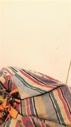 Ayle!! (@mack_beaver2020)’s videos with