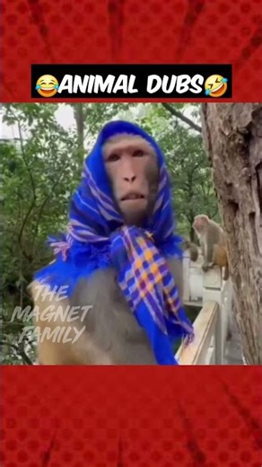 ஓட்டு போட்ருங்க நமக்கு‼️😂🤣 #magnetbytes #funnydub #animalfunny #election #monkey #Dubs