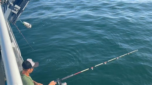 3.1K views · 28 reactions | MONDAY LOOKS GORGEOUS! Sun, CALM with perfect temps. We have enough to sail so COME ON DOWN. Video is from our last trip run Friday. The weekend we were blown out | Queen Mary Party Fishing Boat and Charters | Facebook