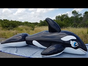 Massive 5-Meter-Long Whale Ride-On Pool Toy from Inflatable World