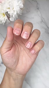 5.7K views · 32 reactions | Totalne, wakacyjne szaleństwo! Wykorzystane produkty od F.O.X_nails : - żele galaretki Jelly: light lemon, lime, azure, lavender, bubblegum - mystic gel 005 - vitrage builder gel pink - top no wipe - formy Produkty F.O.X dostępne u dystrybutorów. Reklama fox nails poland #longnails #gelnails #paznokcieżelowe #hybryda #polskiepaznokcie #simplenails #geelikynnet #rakennekynnet #foxnailspoland #foxnails | Puro.Nails- The power of color | Facebook