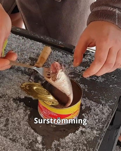 8 Most Bizarre Foods In Europe | Drew Binsky