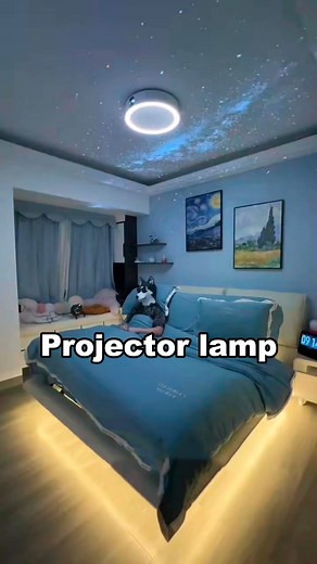 Three-in-one multi-function projector light #lamp #light #led #smarthome #lightingdecor #homedecor #lightingdesign #lampdesign #interiordesign #lampfactory #ledstriplights #ledstrips #diy #installation #designer #architect #architecture #instagood #home #atmosphere #aleadhome #aleadlighting | Alead Lighting | Facebook