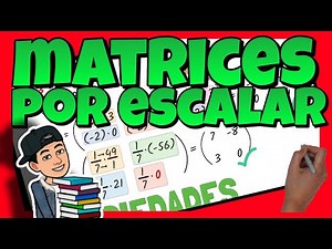 🔴 PRODUCT of a MATRIX by a SCALAR or REAL