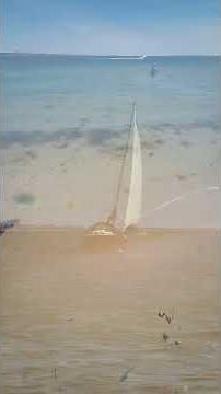 Shell Bay Beach #studland #dorset #beach #england #travel