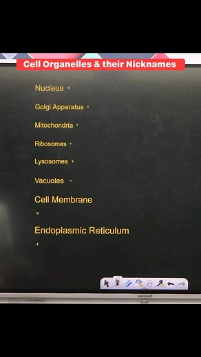 👉 Cell Organelles & their Nicknames 🤔 !! #cellorganelles #Nicknames #biology #gkquestion #sciencefacts #knowledge #study #education #exams #neet #upsc #gkfacts #knowledgeispower #quiz #facebookreelsviral #fbreelsvideo #facebookreelsvideo #fbreelsviral #facebookreels #reelsfb #reelsviral | Krishna Thakur