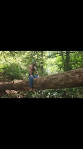 My friends tolerate me at best #wild #documentary #log #woods #sasquatch | Zander Gains