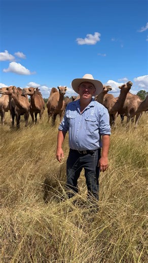 23 reactions · 6 comments |  CLOSING TONIGHT AT 10 PM! This is your...