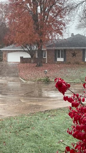 The snow is starting.....❄️❄️ | Carol Chapman Bailey