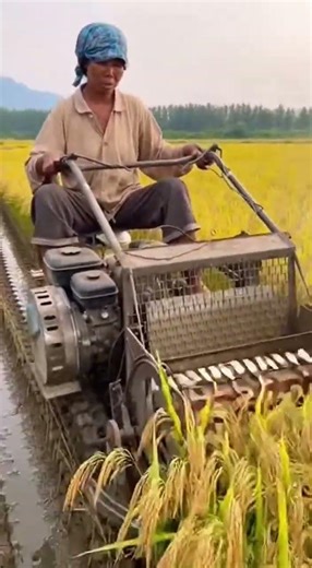 Future of Farming #FutureFarming #AgriTech #RoboticAgriculture #SmartFarming