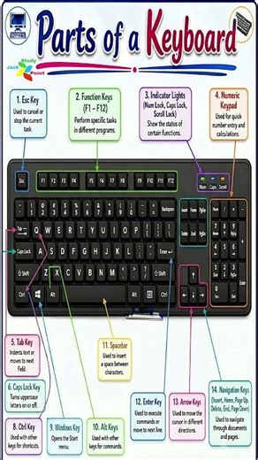 Keyboard Parts & Functions Explained | All Keyboard Keys (Esc, F1–F12, Ctrl, Alt, Enter) | All Exams