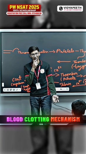 Blood Clotting Mechanism Explanation 🤯