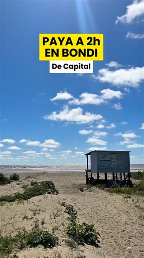 Buenos Aires turismo on Instagram: "PLAYA lsla Paulino ⬇️TODA LA INFO ⬇️ ⚠️Recorrido para llegar a Isla Paulino en Berisso, Buenos Aires: 1° Me tomé en Av. Leando Alem N. 562 (CABA), el colectivo 195 (Term. La Plata x Autop.) hasta Avenida 44 547 (La Plata, Buenos Aires) 2° Me tomé en Avenida 7 y calle 47 (La Plata) el colectivo 202 (Ramal A) hasta Embarcadero Berisso (o también le podés decir al chofer hasta Avenida 7 S/N) ⚠️Una vez que estás en Embarcadero Berisso, los pasajes para llegar en l