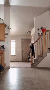 159K views · 3K reactions | More kitchen skating. #rollergirl #rollerskating #wifaskates | Skating with Hayley | Facebook