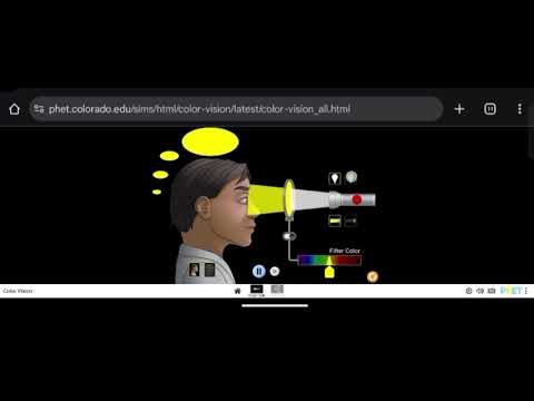 Simulasi Phet_Color Vision (Laporan percobaan Laboratorium warna jarak jauh)
