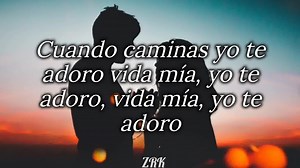 Bronco - Julieta Venegas - Adoro ( letra ) | ZRK