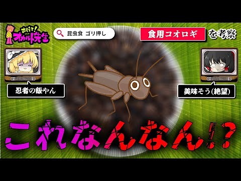 【昆虫食】急に出てきた食糧問題コオロギ陰謀論を考察【ゆっくり解説】