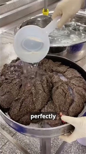 The Caviar Truth No One Tells #animals #animalfacts #wildlife #facts #wholesome #fish #caviar