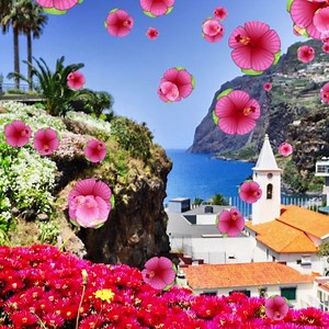 42K views · 137 reactions | In honor of Flower Day, we’re giving you a flower, and we’d be happy to get one from you, too! | Condor Airlines | Facebook