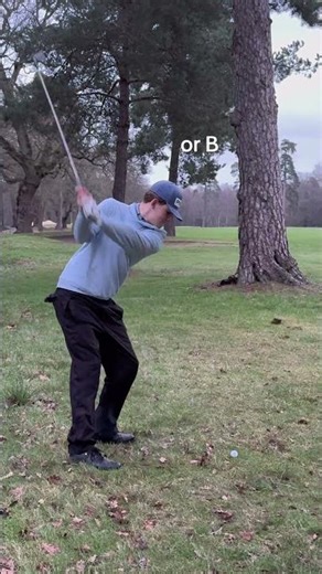 A or B ? WEDJ GOLF #golf #stinger #golfswing