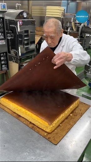 Traditional Castella Cake World Most Expensive #shorts #ytshorts