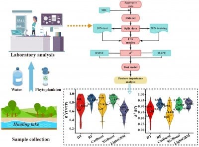 Utilizing Machine Learning Models to Grasp Water Quality Dynamic Changes in Lake Eutrophication Through Phytoplankton Parameters | Newswise