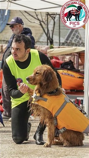 DOVE SI FORMANO I CANI DA SALVATAGGIO?