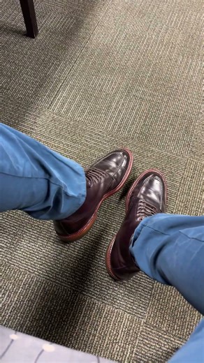 Alden Indy Shell Cordovan