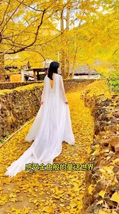 25K views · 195 reactions | 【云南☝️年1️⃣2️⃣月的绝美景点大揭秘】...