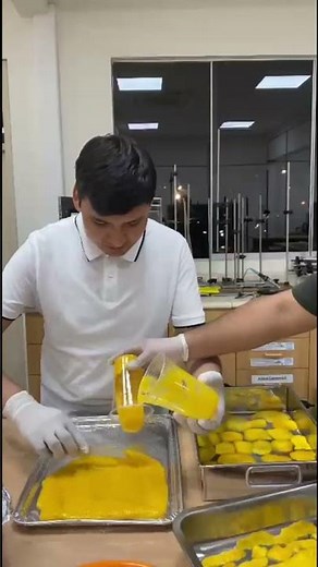 Mango Dehydration Lab Project: Testing Shapes, Moisture Control, and Heat Calculation
