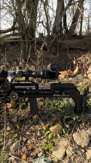 Fx Maverick .25 cal Sniper Edition..Lol. #shorts