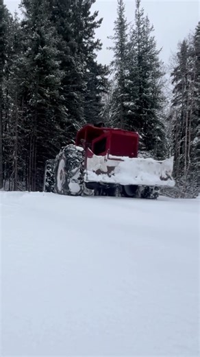 230 Timberjack skidder with 353 Detroit #detroitdiesel #skidder #timberjack #shortvideo
